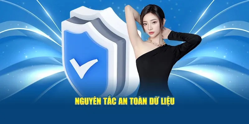 Nguyên tắc an toàn dữ liệu